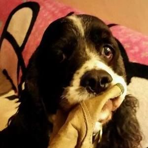 Meet your Posher, Jan